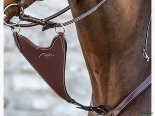 Övrig Hästutrustning hästutrustning till salu: Brun martingal från dyón i fint skick i Stockholm - Annons 6
