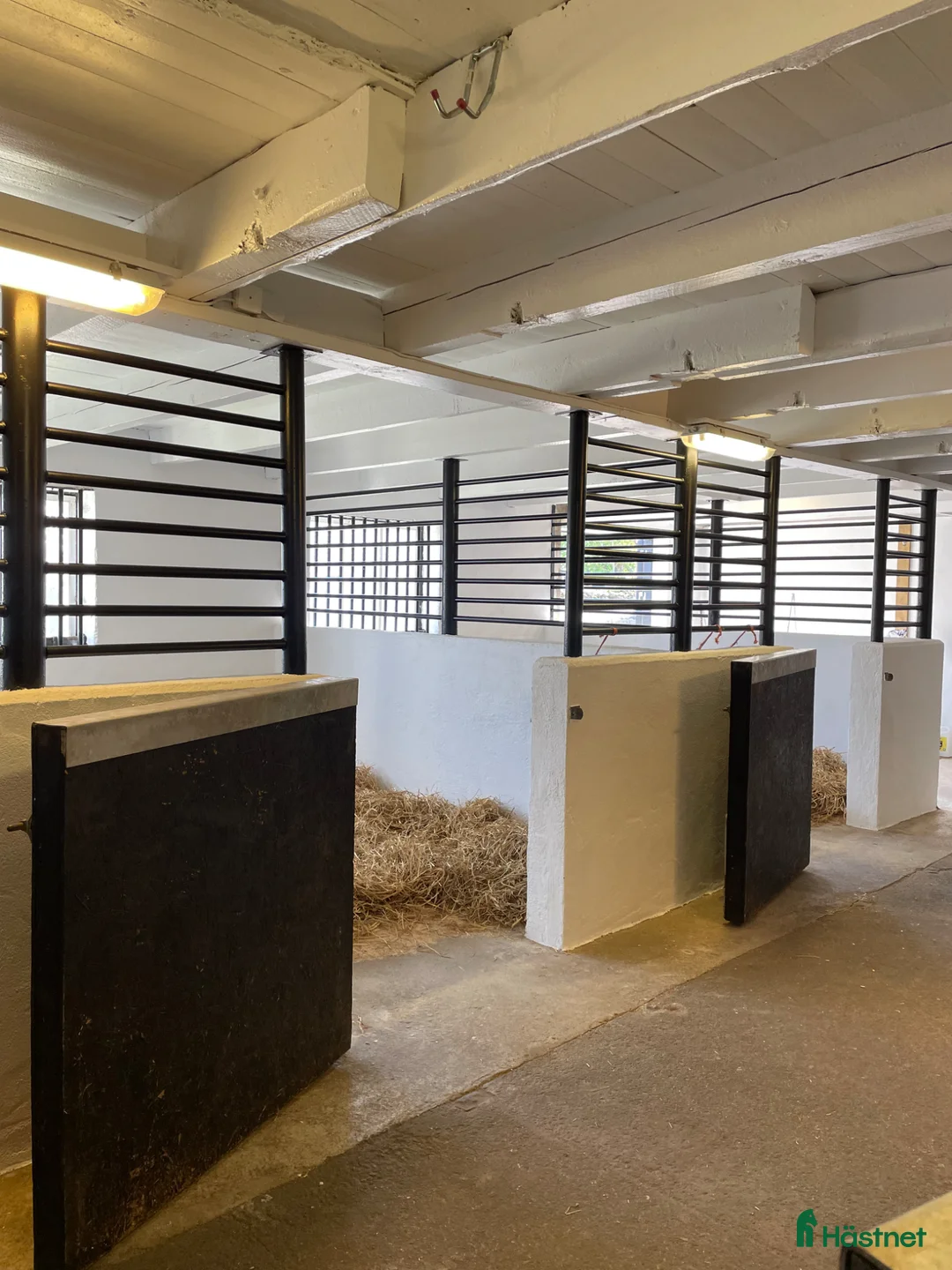  stallplats finnes: Stallplats i Sölvesborg  i Sölvesborg - Annons 1