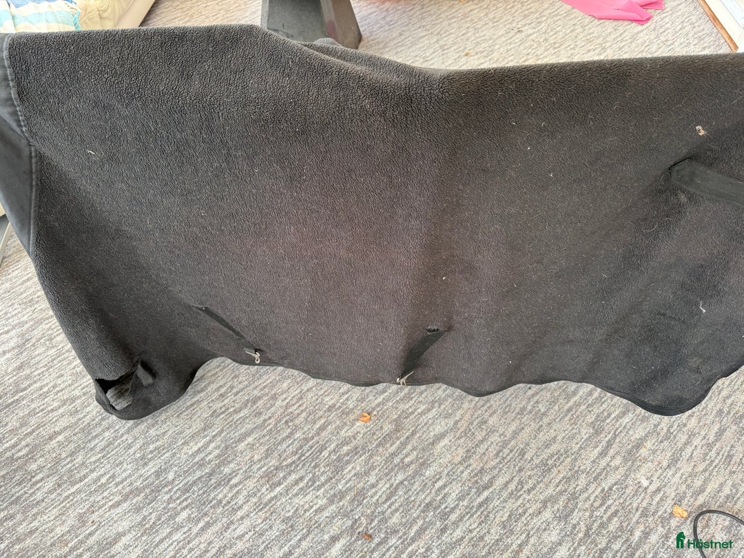 Täcken hästutrustning till salu: Sadelkammar rensning / hästtäcken stl 145 i Linköping - Annons 16