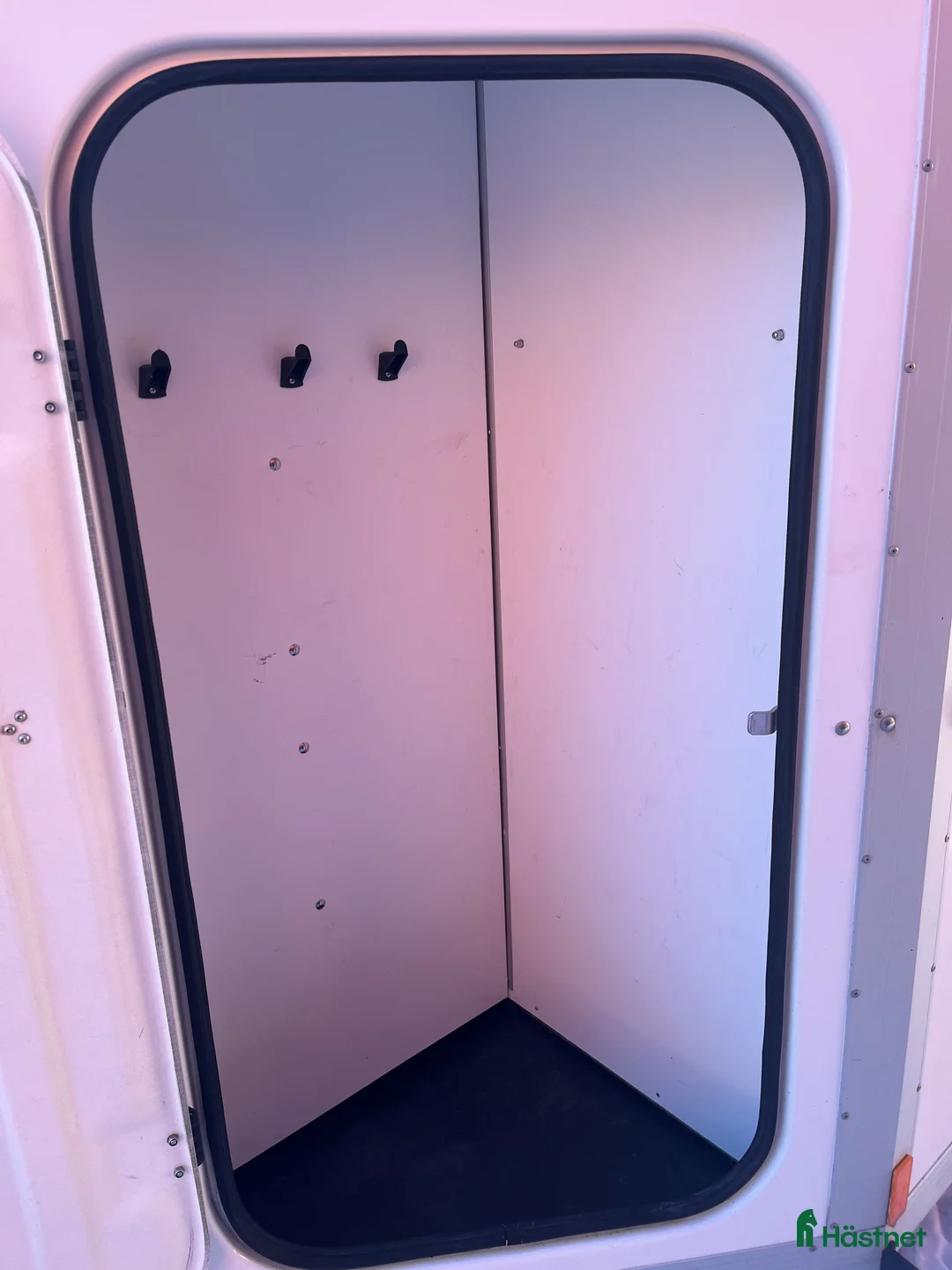 Hästtransporter  fordon & transport till salu: Forzab Futuro SEH20 2019 i Ingelstad - Annons 7