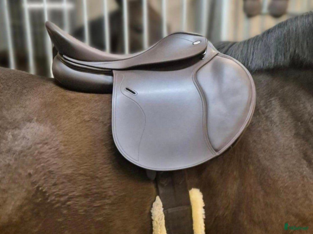 Sadlar hästutrustning till salu: Tekna S line 16,5" helt ny! i Åkarp - Annons 2