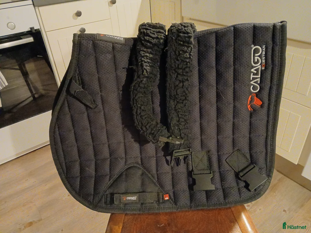 Schabrak & Vojlockar hästutrustning till salu: 2 st Schabrak med elastiska band i Salbohed - Annons 1