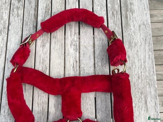 Övrig Hästutrustning hästutrustning till salu: Röd fluffgrimma i Halmstad - Annons 8