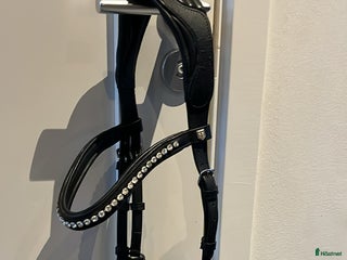 Träns hästutrustning till salu i Linköping - Annons 39