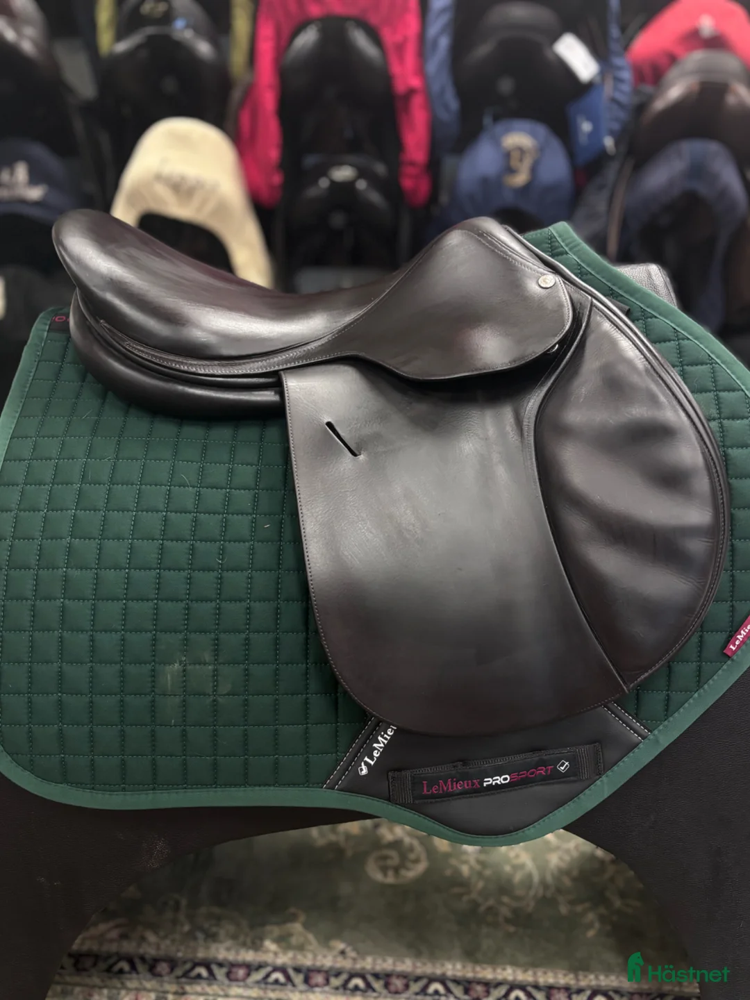 Sadlar hästutrustning till salu: Butet 17,5” - Annons 2