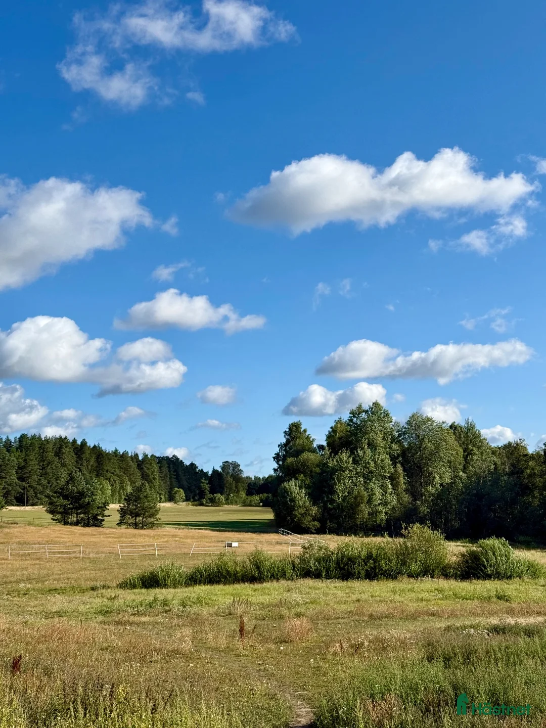 stallplats finnes: Lösdrift i Rosersberg med fullservice - Annons 2