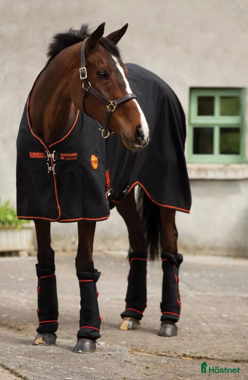 Täcken hästutrustning till salu: Rambo Ionic Stable Sheet 0g 155cm i Täby - Annons 20