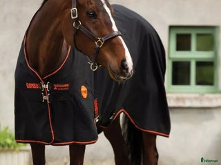 Täcken hästutrustning till salu: Rambo Ionic Stable Sheet 0g 155cm i Täby - Annons 4