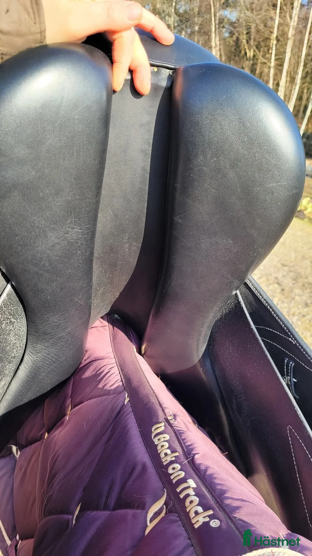 Sadlar hästutrustning till salu: Hoppsadel i Gråbo - Annons 4