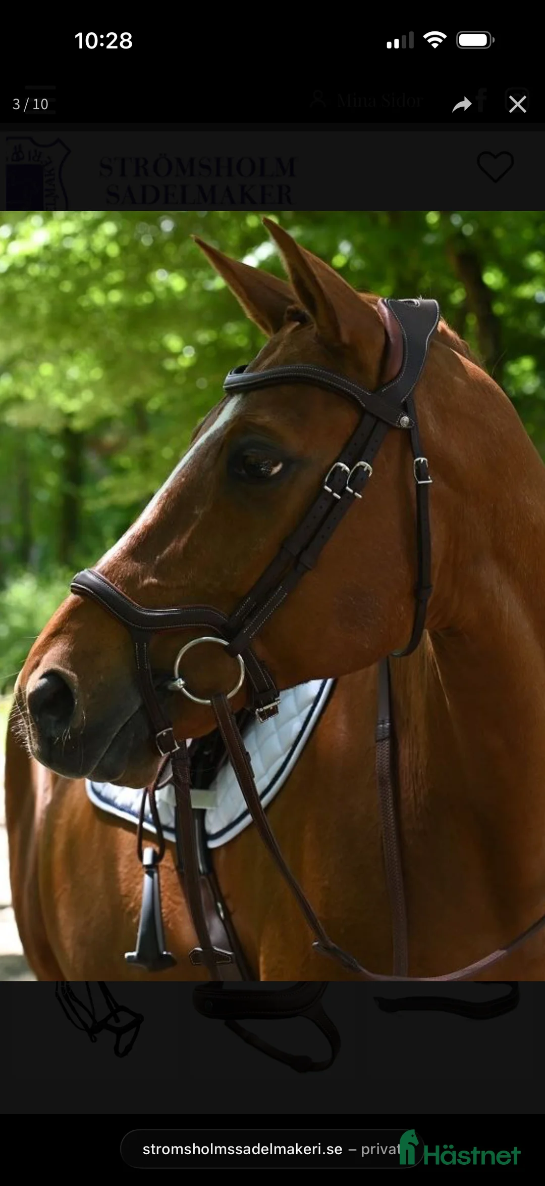 Träns hästutrustning till salu: Antares Signature Precision - Y-nosgrimma - Annons 2