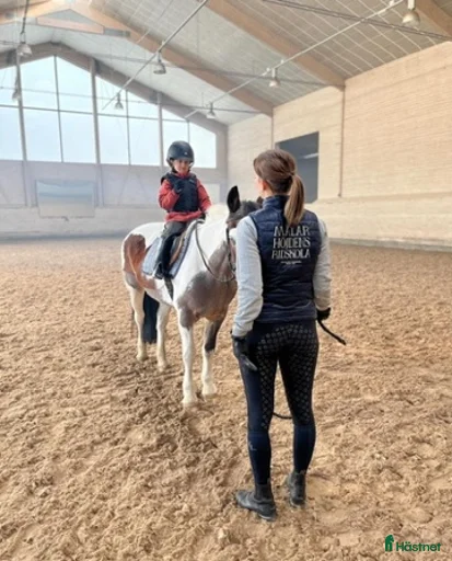 Galleribild {{count}}