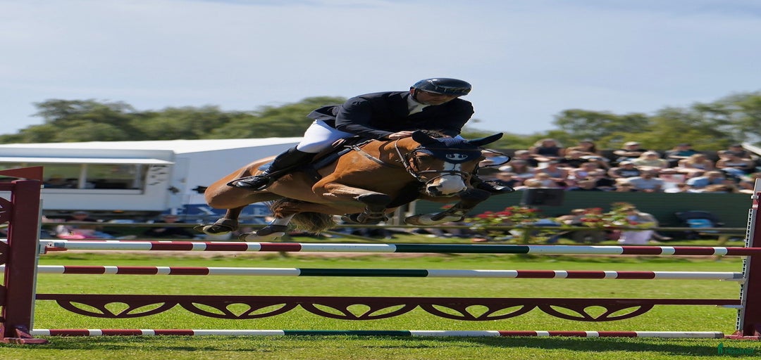 Galleribild {{count}}