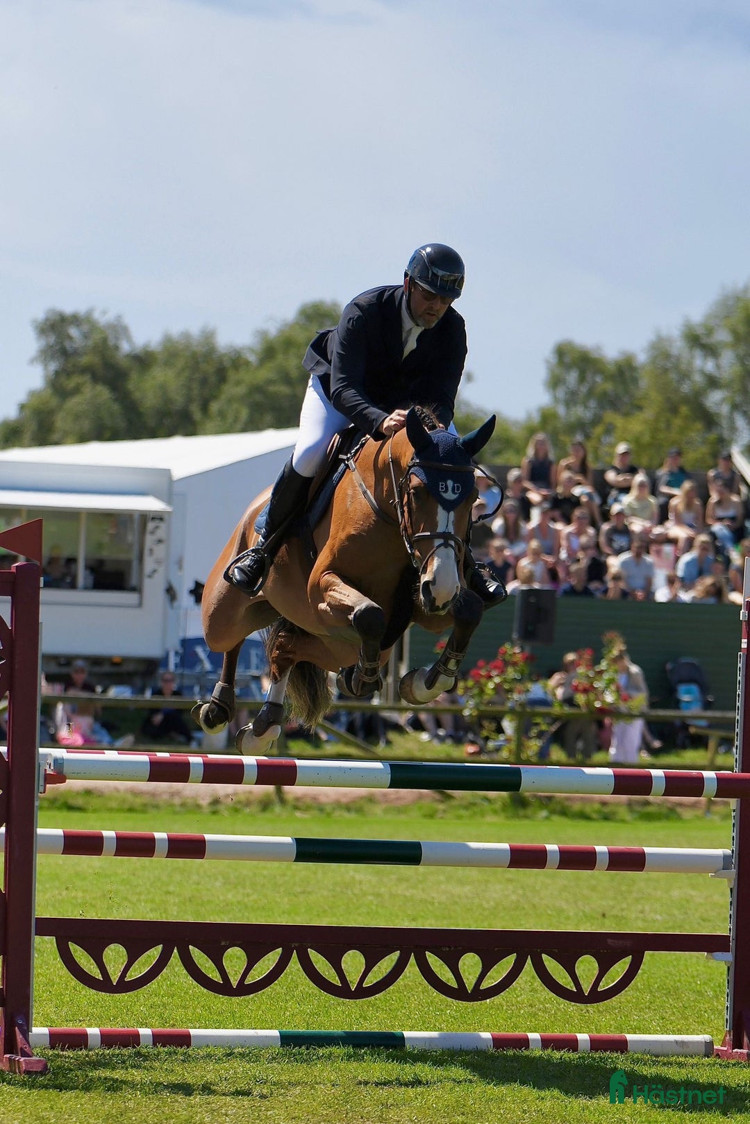 Galleribild {{count}}