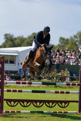 Galleribild {{count}}