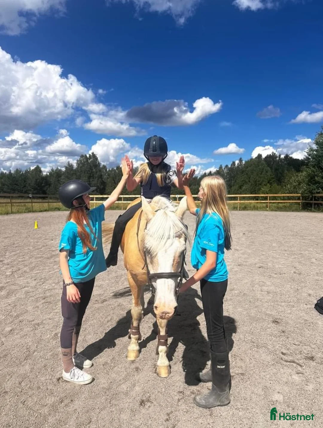  stallplats finnes: 🌟 Nybackgård har lediga platser 🌟 - Annons 2