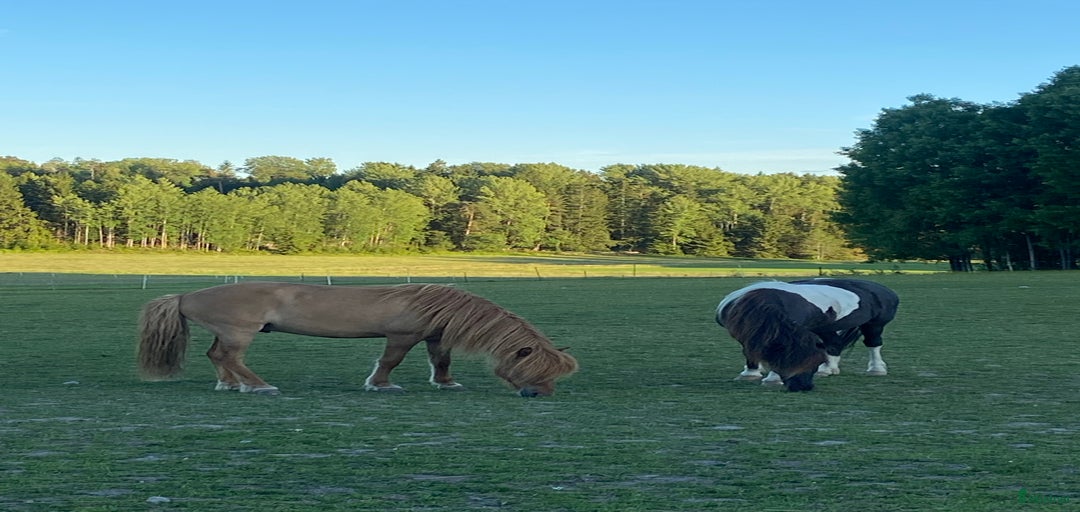 Galleribild {{count}}