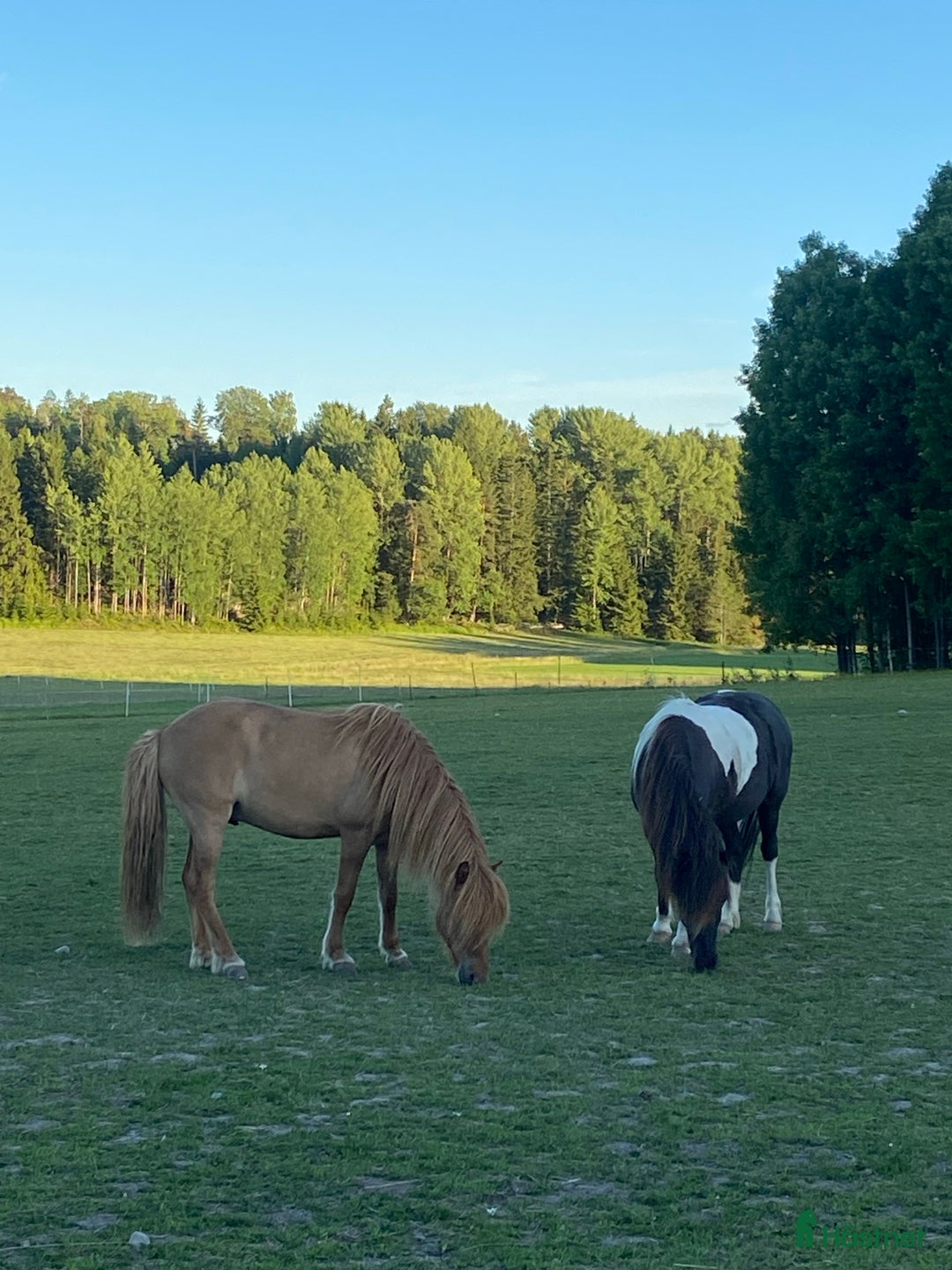 Galleribild {{count}}