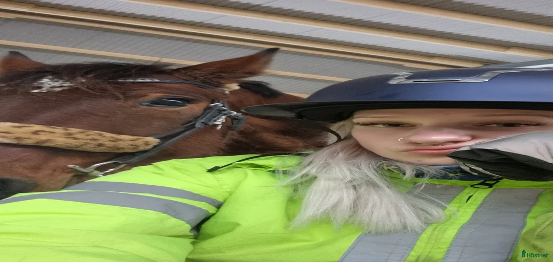 Galleribild {{count}}