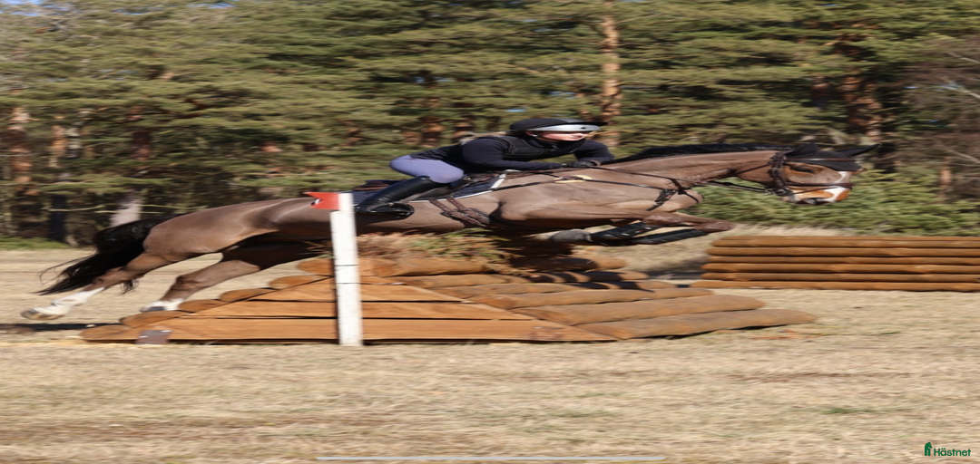 Galleribild {{count}}