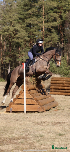 Galleribild {{count}}