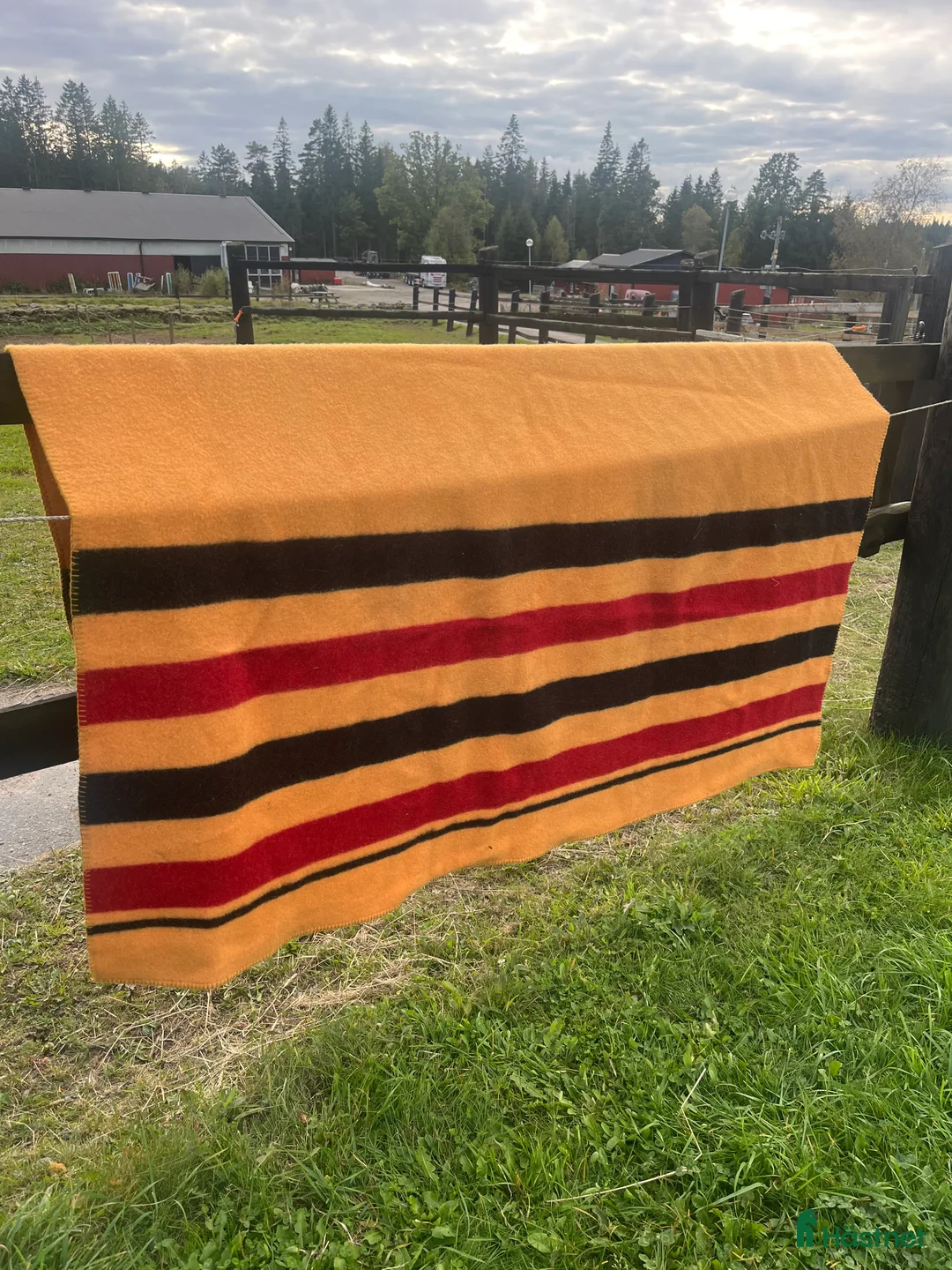 Övrig Hästutrustning hästutrustning till salu: Ullfilt i Hindås - Annons 1