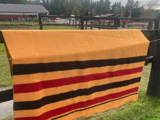 Övrig Hästutrustning hästutrustning Ullfilt i Hindås - Annons 6