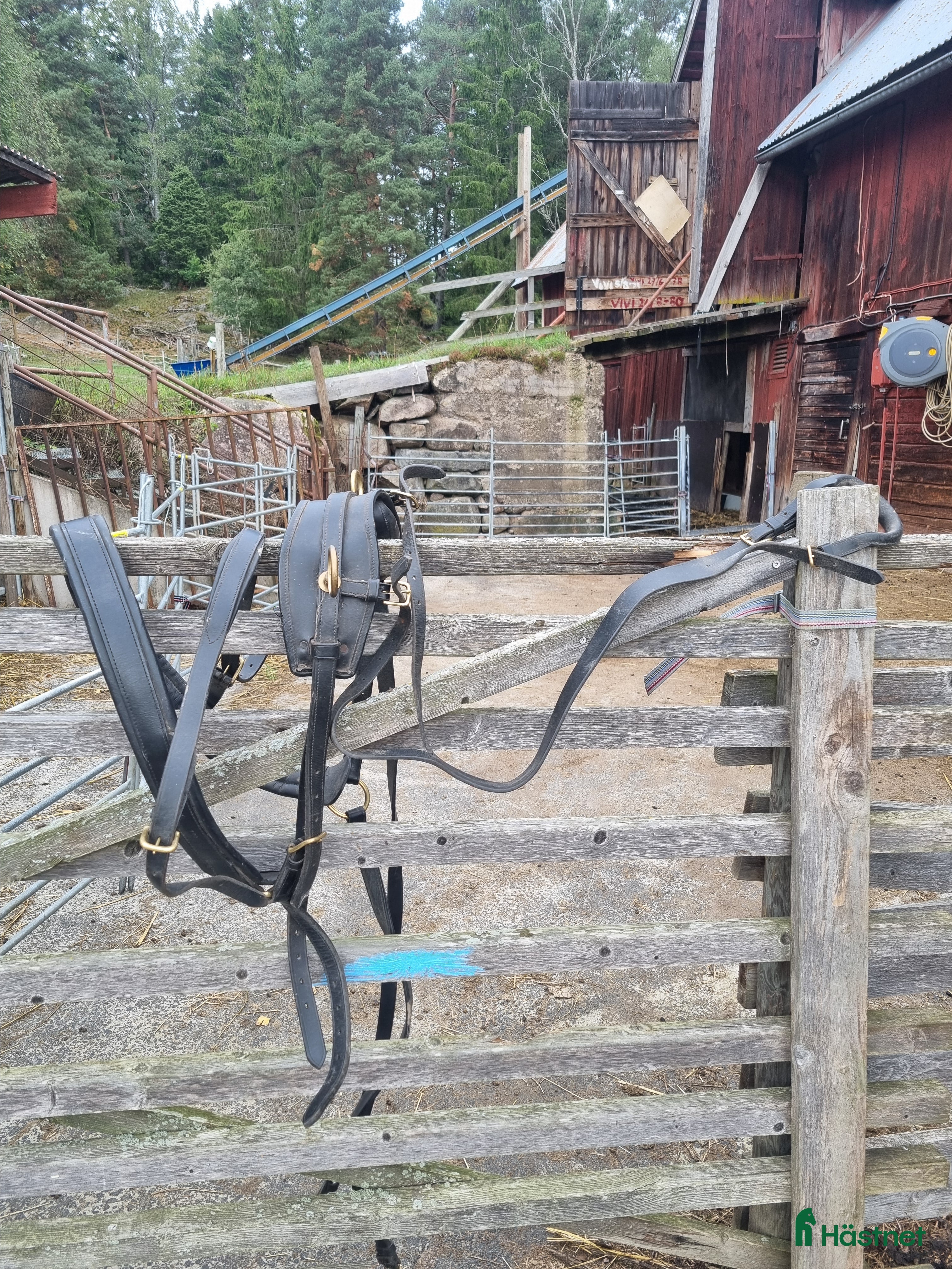 Körselar körning till salu: Bröstsele strl full i Gränna - Annons 11