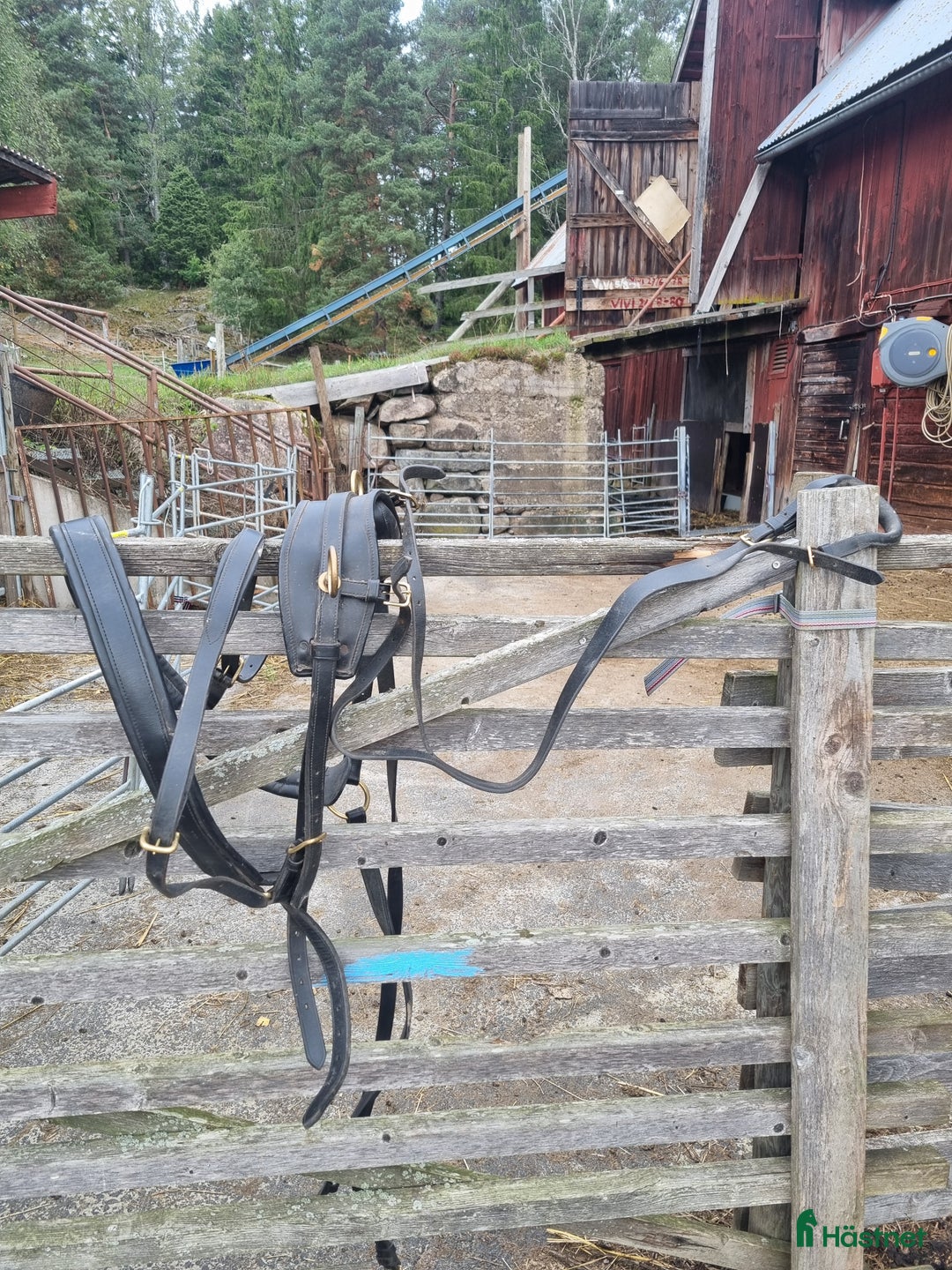 Körselar körning till salu: Bröstsele strl full i Gränna - Annons 1