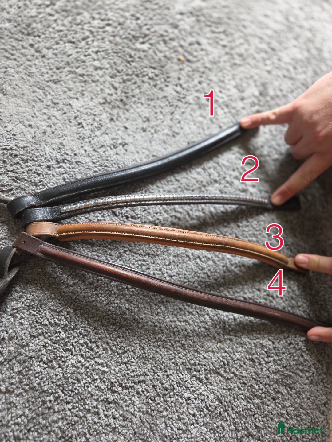 Övrig Hästutrustning hästutrustning till salu: Blandat med hästsaker säljes i Ösmo - Annons 2