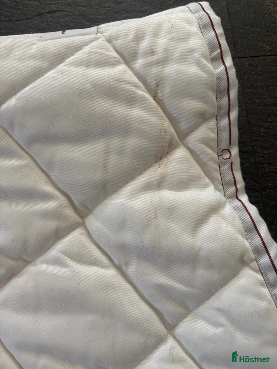 Schabrak & Vojlockar hästutrustning till salu: Vitt cavalleria Toscana schabrak - Annons 8