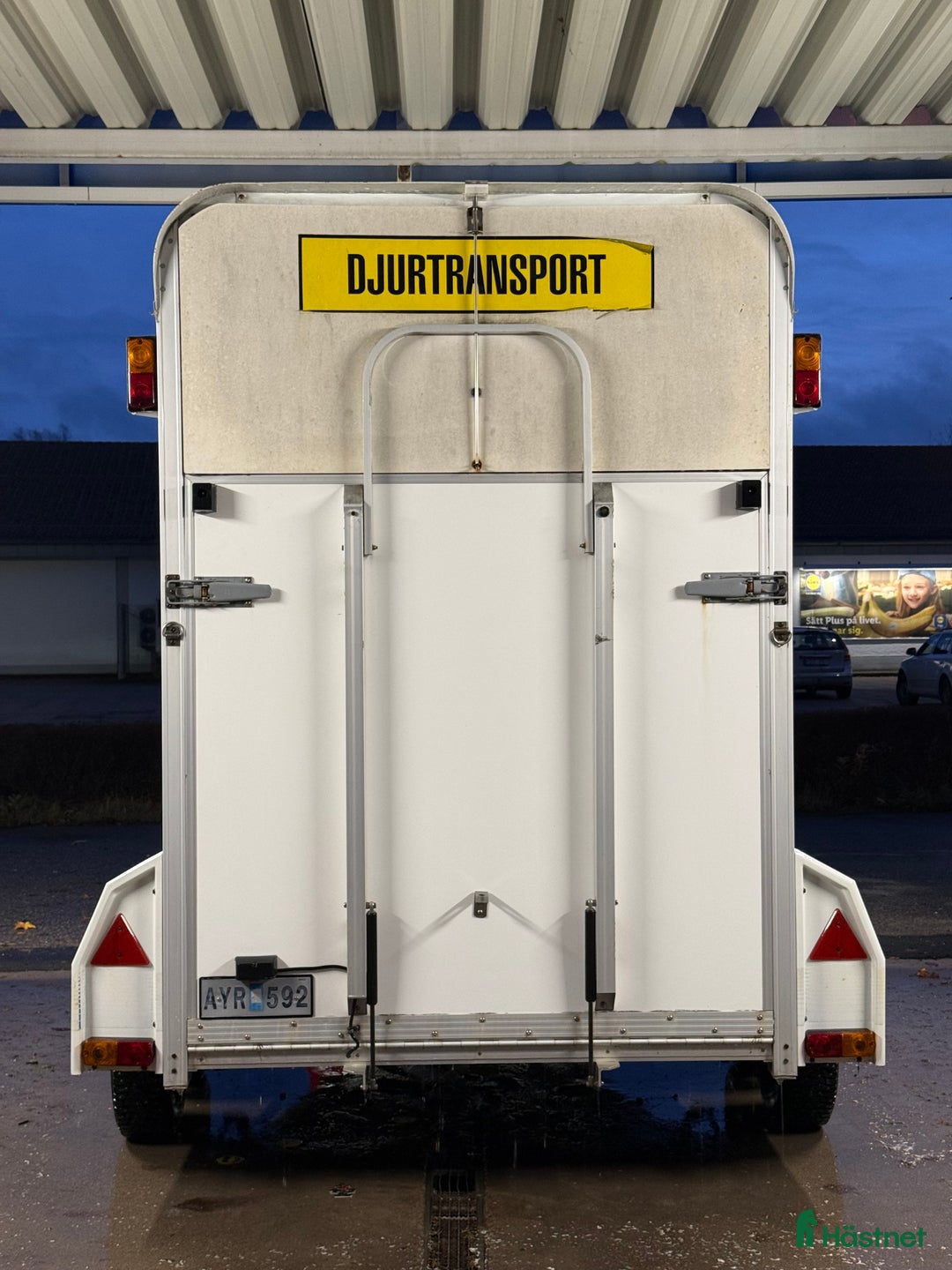 Hästtransporter  fordon & transport till salu: Umesläp A30 i Gävle - Annons 3