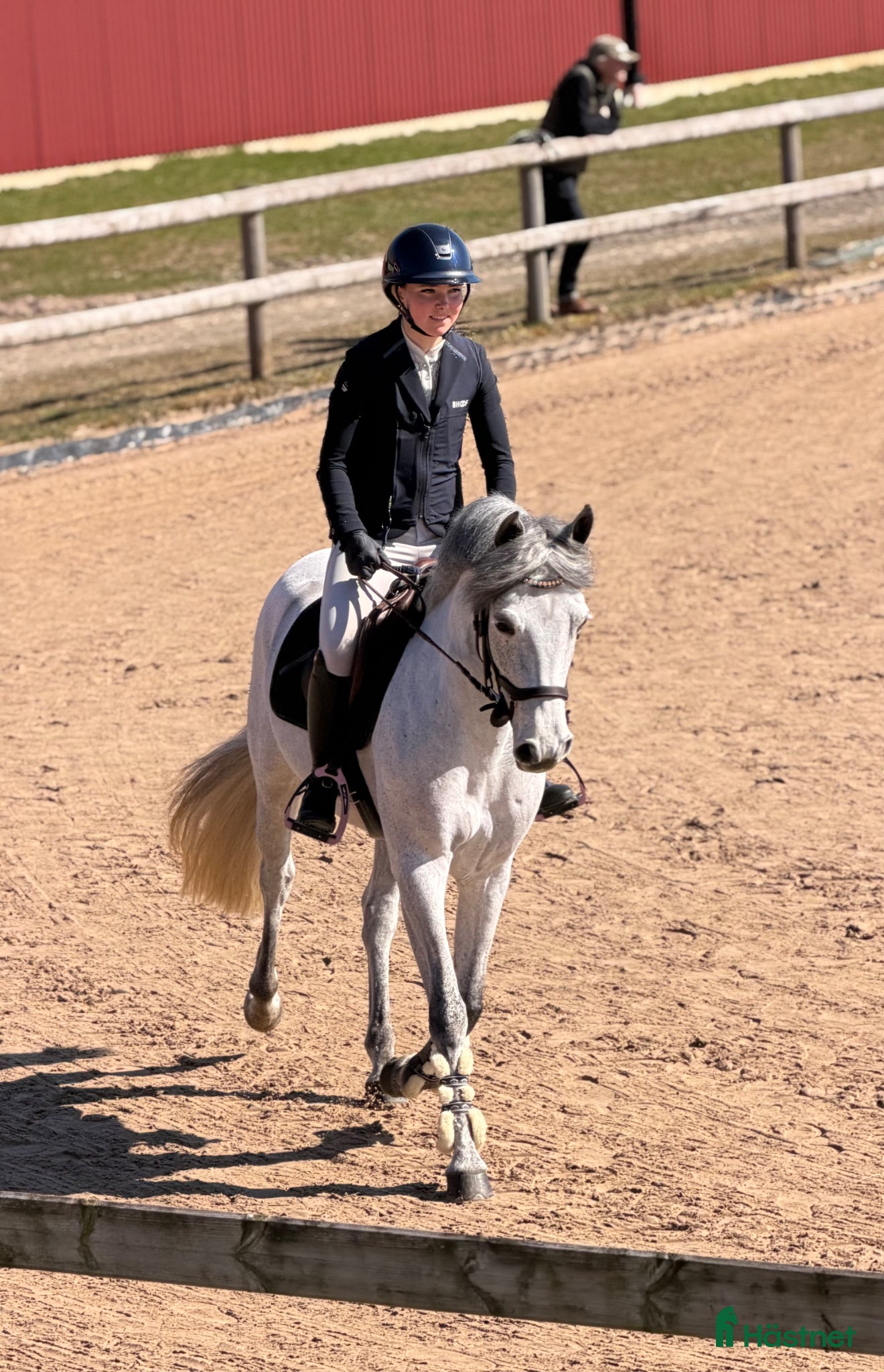  hästar Framtida mästerskapsponny! - Annons 9