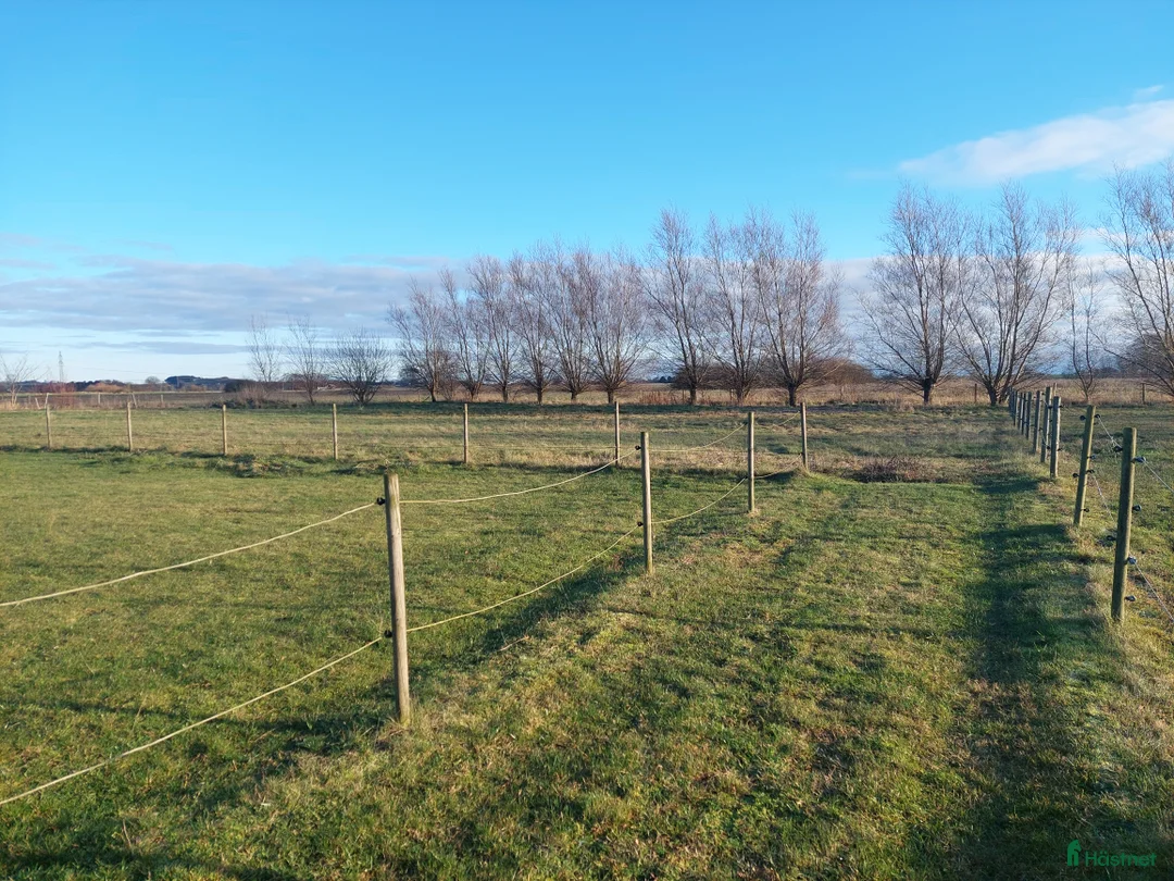  stallplats finnes: Stallplats i litet mysigt stall I Hofterup i Löddeköpinge - Annons 5