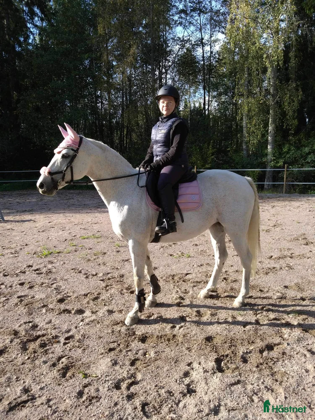  hästjobb finnes: hästtjej söker hästjobb på ridskola - Annons 4