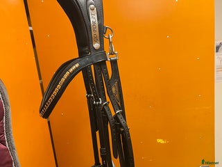 Träns hästutrustning till salu: Equiline träns i Mjölby - Annons 3