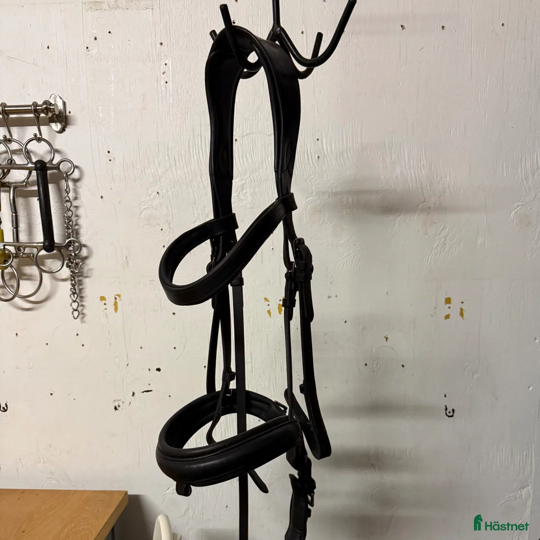 Träns hästutrustning till salu: Alequi träns - Annons 1