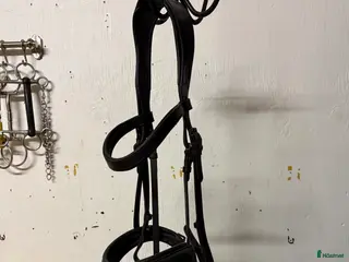 Träns hästutrustning Alequi träns - Annons 1