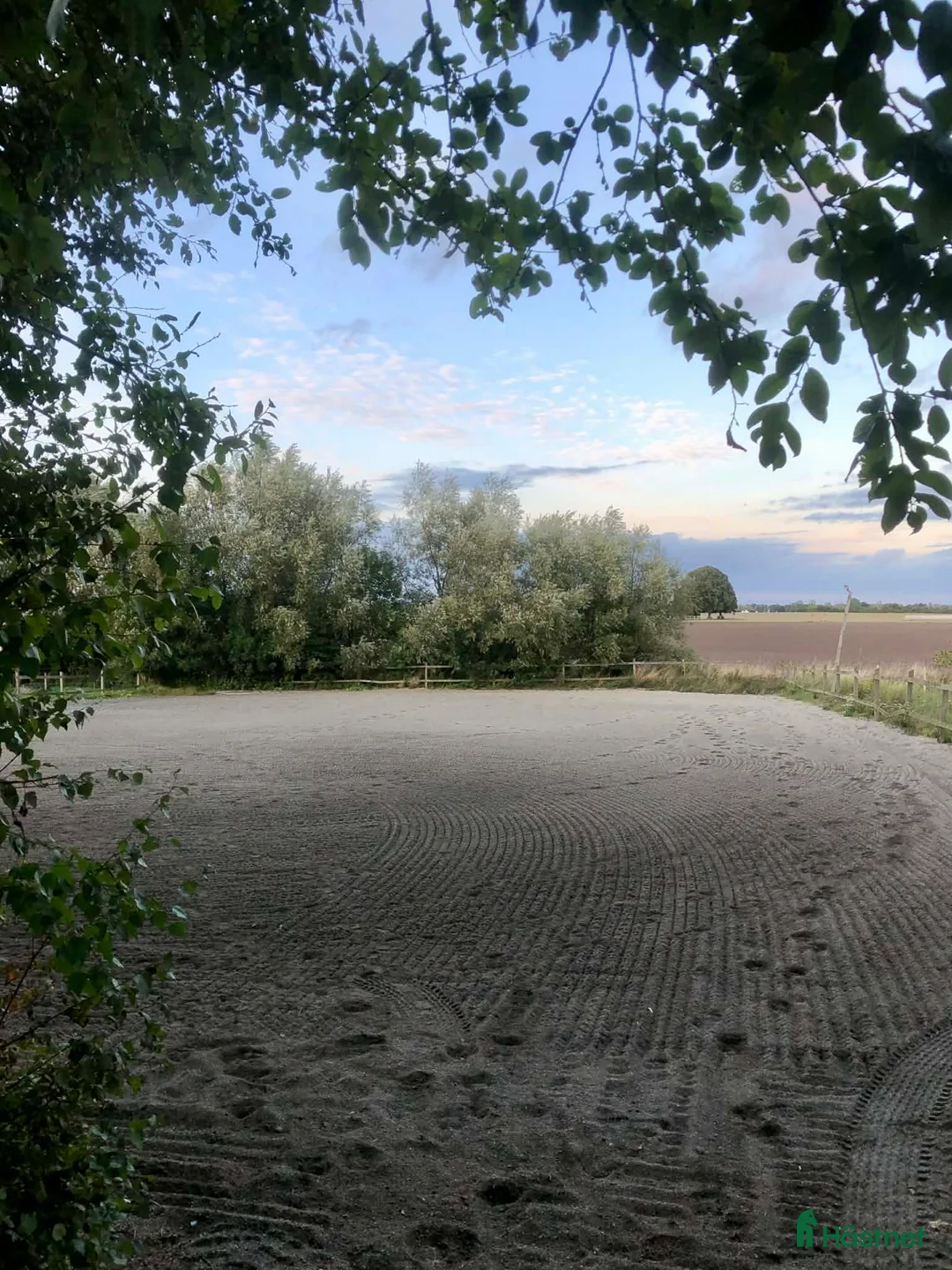  stallplats finnes: Vi har tre boxplatser lediga from 1 mars😊 i Vellinge - Annons 5