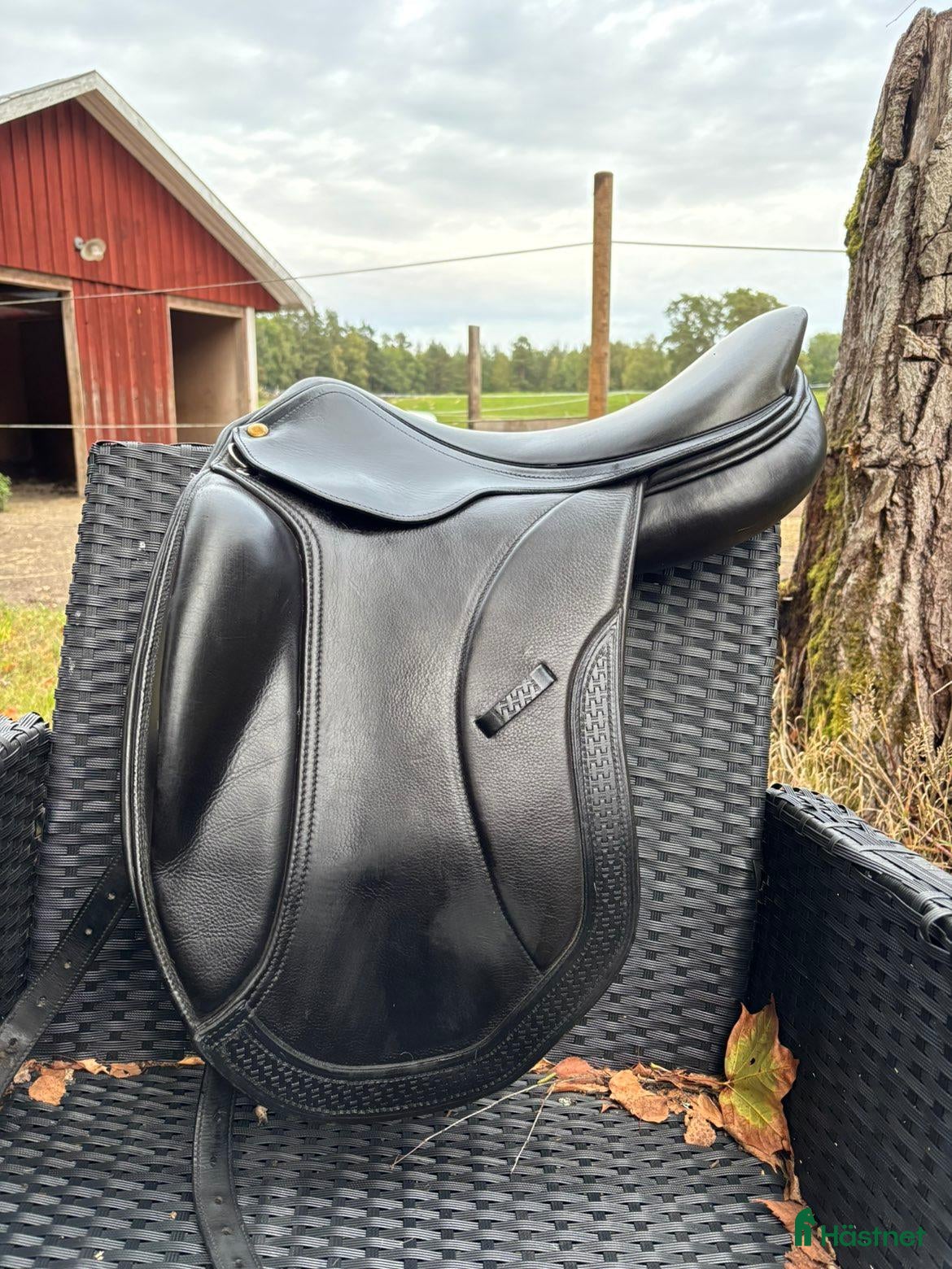 Sadlar hästutrustning ErgoX2 Salmiak - Annons 11