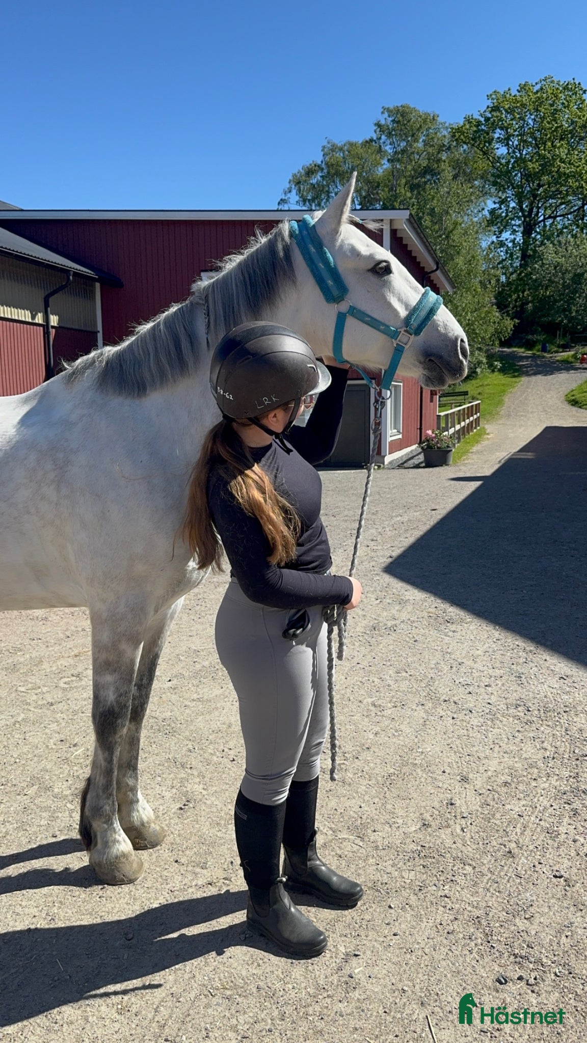  medryttarhäst sökes: 17 årig Medryttare finnes i Göteborg - Annons 16