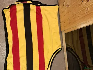 Täcken hästutrustning Skritt täcke - Annons 9