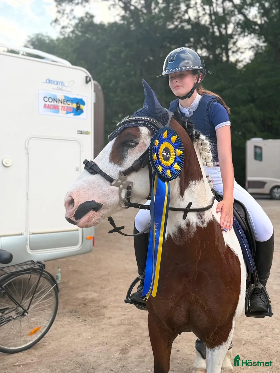 Hoppning hästar till salu: Ponny värd sin vikt i guld - Annons 1