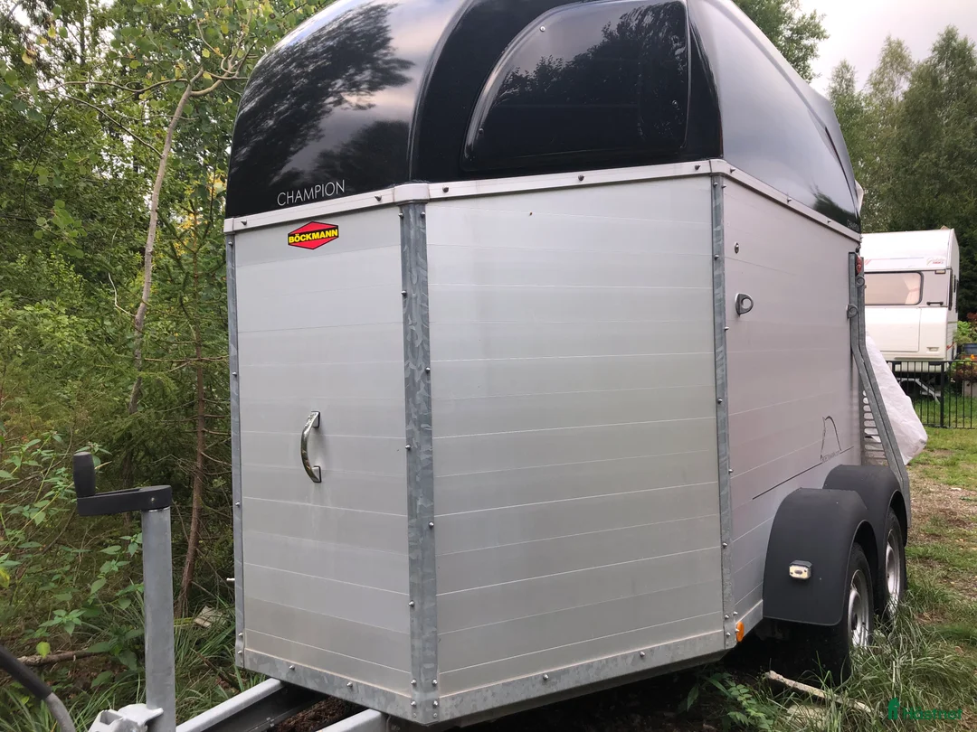 Hästtransporter  fordon & transport till salu: böckmann champion i Tungelsta - Annons 1