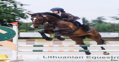  hästar i Ekerö - Annons 3