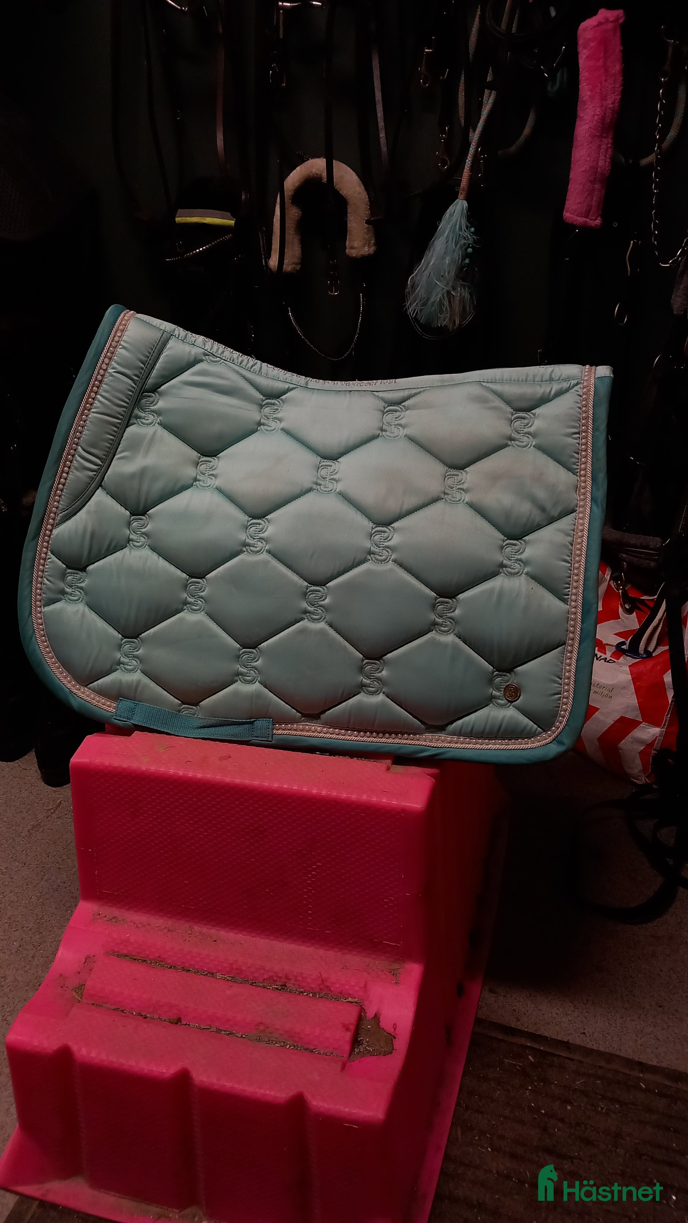 Schabrak & Vojlockar hästutrustning Schabrak 350kr i Arboga - Annons 3