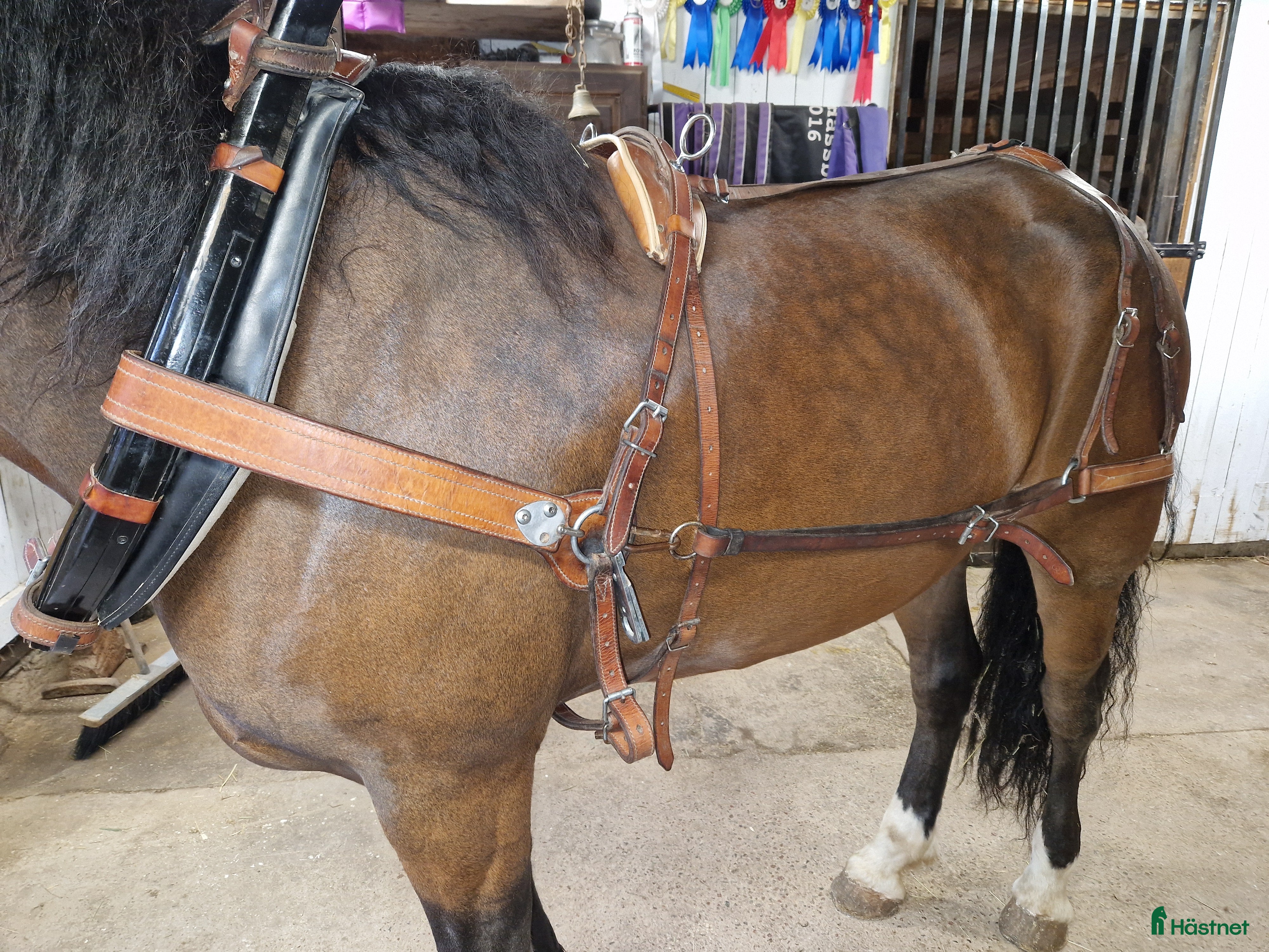 Körselar körning till salu: Loksele i Rättvik - Annons 2