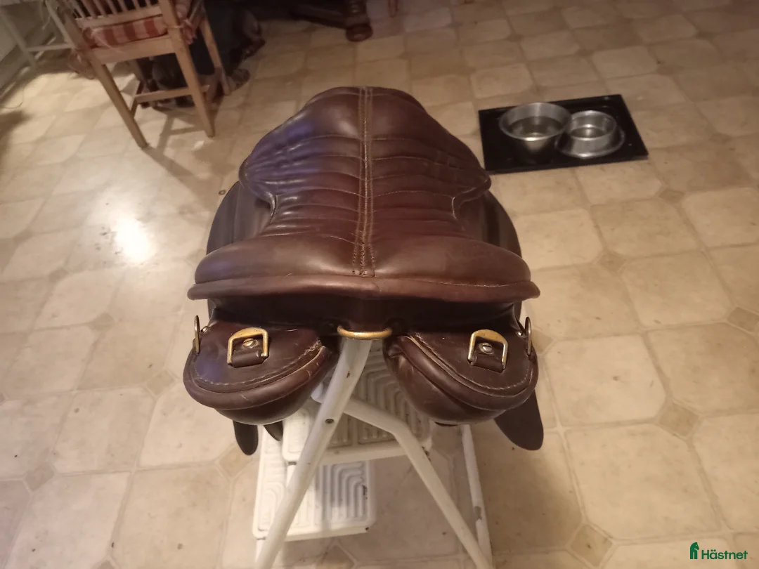 Sadlar hästutrustning till salu: Islandssadel i Bjuråker - Annons 3