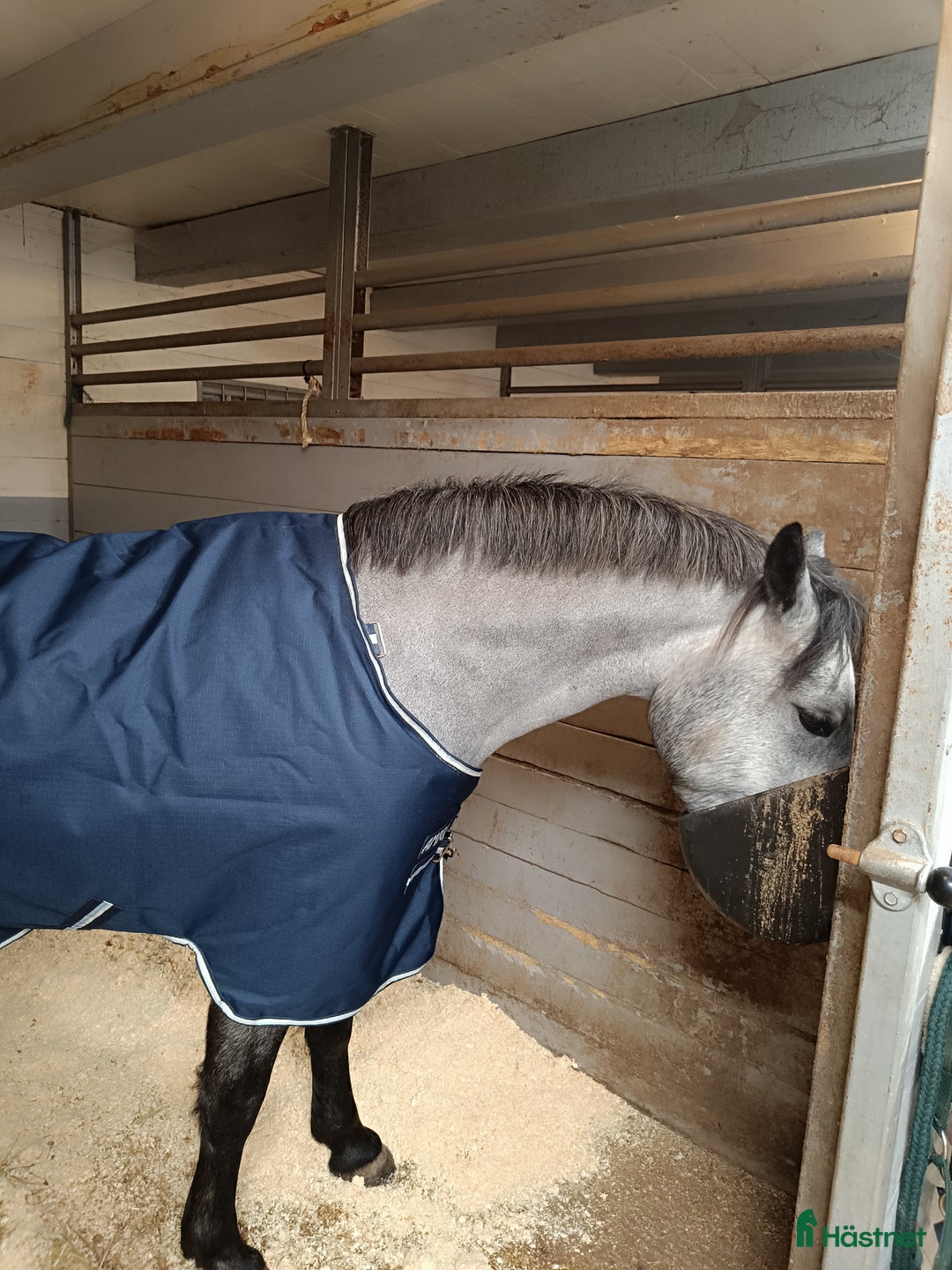 Galleribild {{count}}