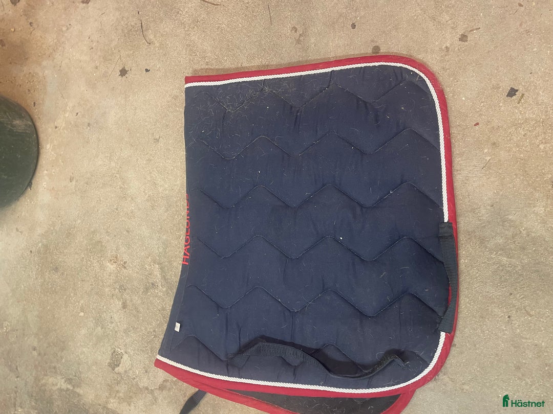 Schabrak & Vojlockar hästutrustning till salu: Schabrak i Falun - Annons 3