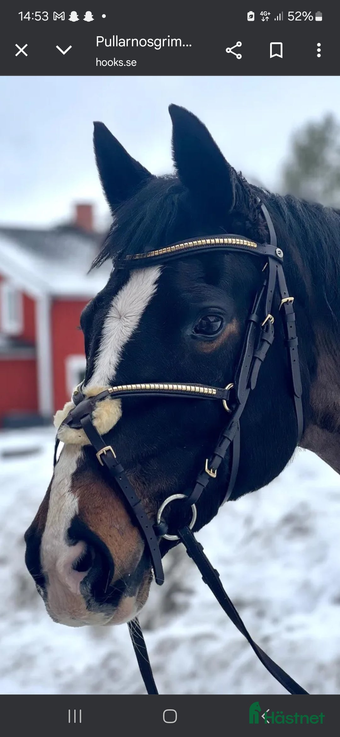 Träns hästutrustning Fint träns till salu!✨️ i Nora - Annons 19